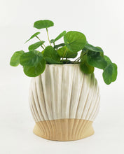 Load image into Gallery viewer, Clam Shell Planter White
